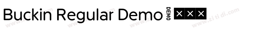 Buckin Regular Demo字体转换